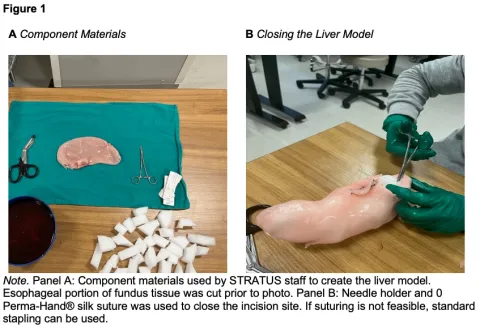 Construction of an Animal-Alternative Liver Model Figure 1 and 2