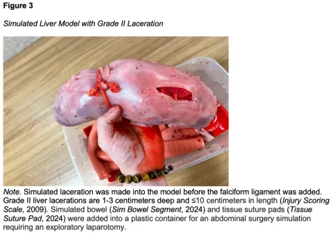 Construction of an Animal-Alternative Liver Model Figure 3