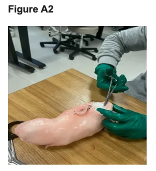 Construction of an Animal-Alternative Liver Model Figure a2